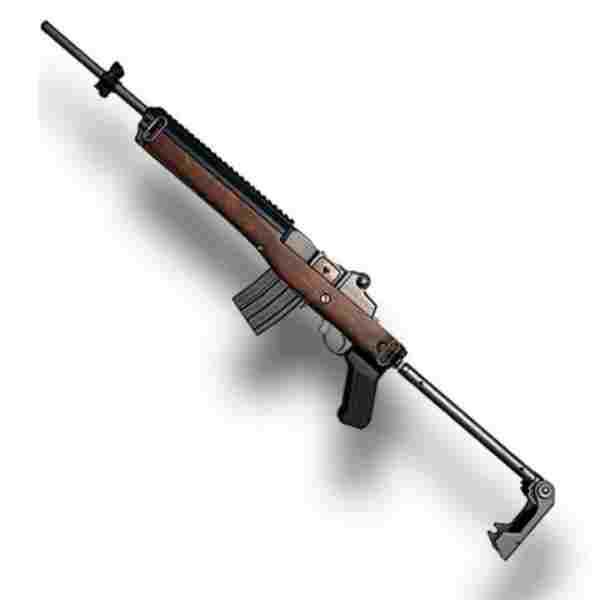 Mini 14
