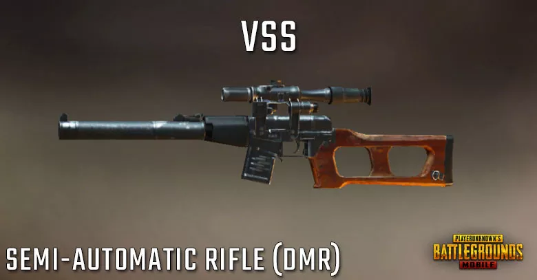 weapon vss DSR