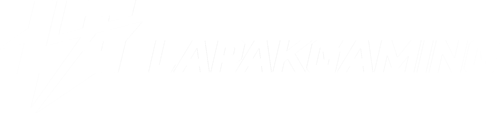 Logo Lapakgaming